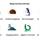 A photo of the sleep animals